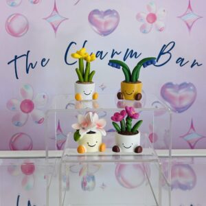 mini flower pot plant decoration